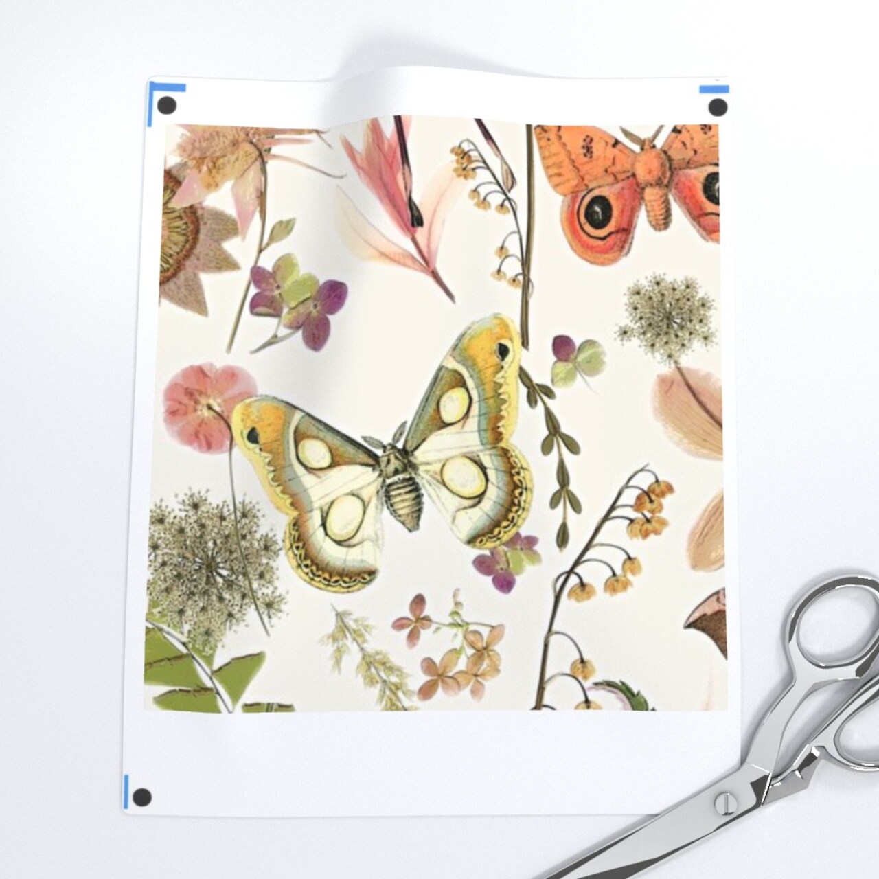 Moth Butterfly Botanical Insects Natural Boho Entomology Custom Printed Fabric by Spoonflower Various Fabrics by the Yard or Fat Quarter
